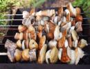 Рецепты шашлыков из шампиньонов: как мариновать грибы для шашлыка на мангале