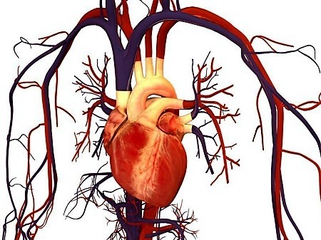 Koronarinės širdies ligos kodas 10 mc