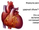 Srdcový výdej a ejekčná frakcia srdca: norma, príčiny zmeny, metódy regulácie Diagnostika systolického srdcového zlyhania