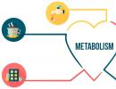 Ako bezpečne zlepšiť metabolizmus doma?