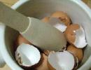 Kiaušinio lukštas yra turtingas kalcio šaltinis organizmui